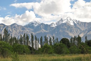 Viaggio-in-India---La-Valle-di-Nubra